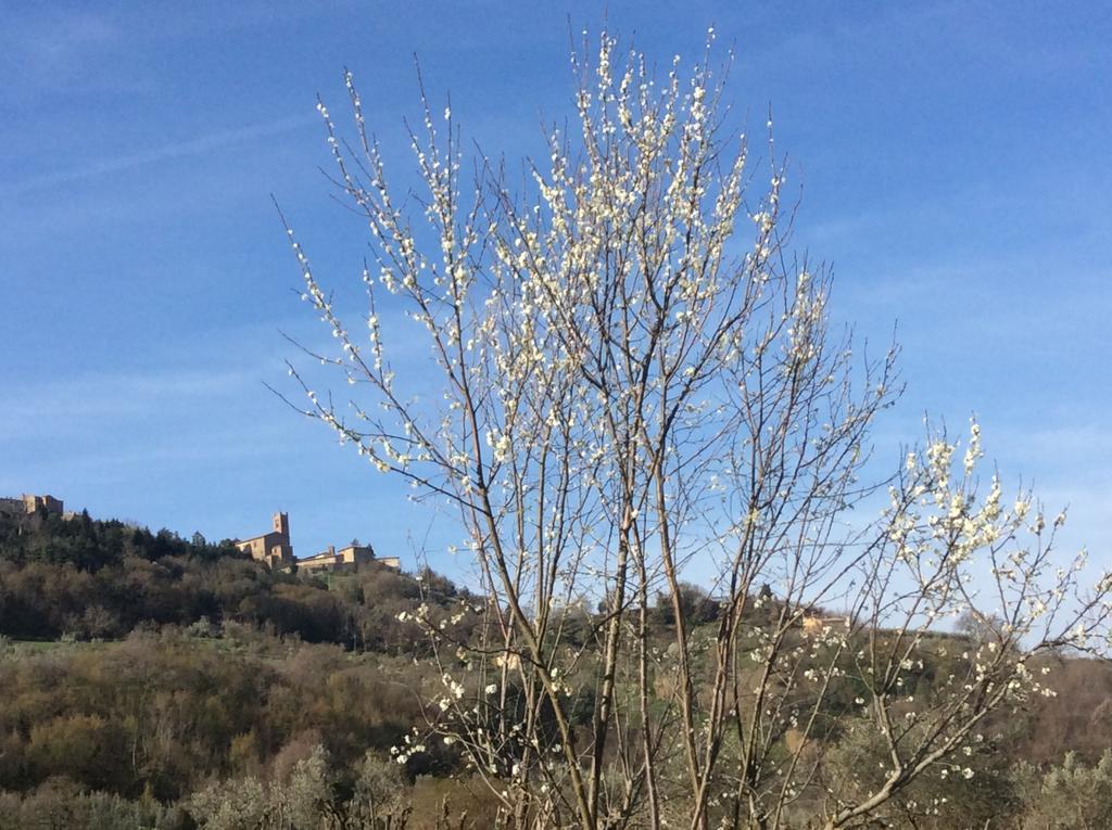 Agriturismo Le Canterie Radicondoli Bagian luar foto