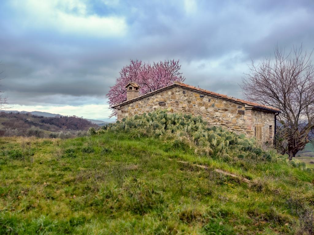 Agriturismo Le Canterie Radicondoli Bagian luar foto