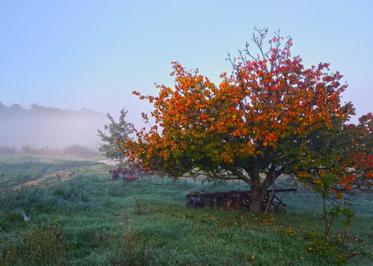Agriturismo Le Canterie Radicondoli Bagian luar foto