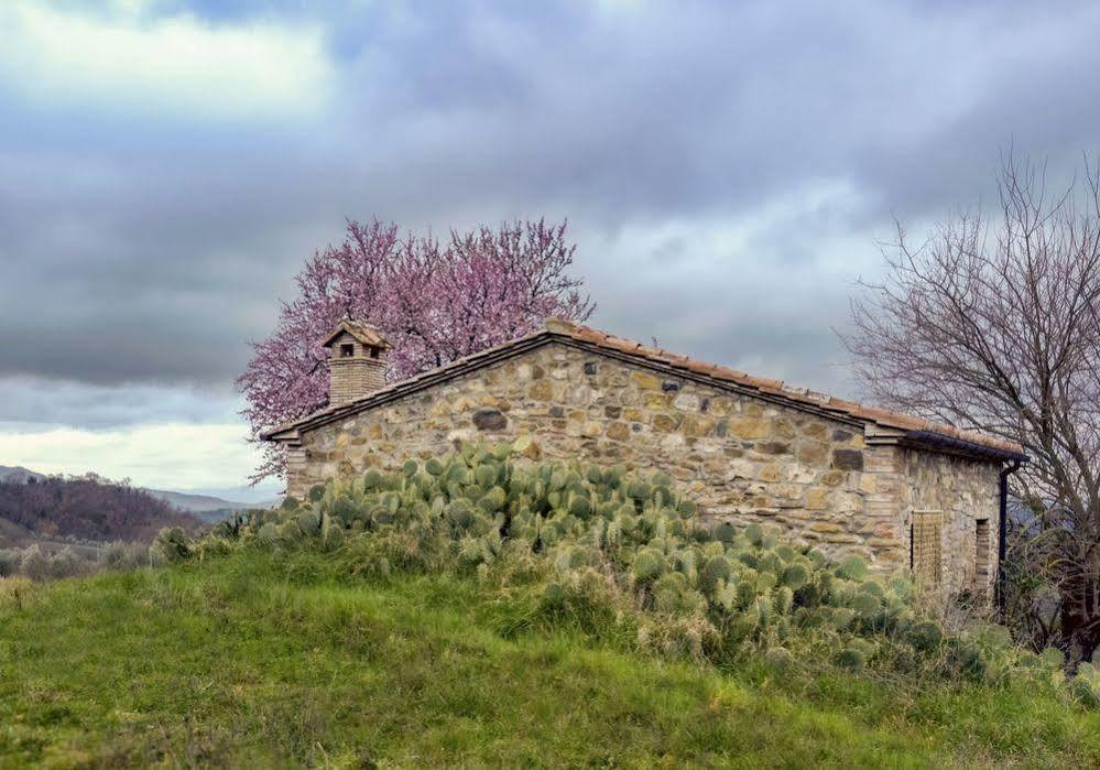 Agriturismo Le Canterie Radicondoli Bagian luar foto